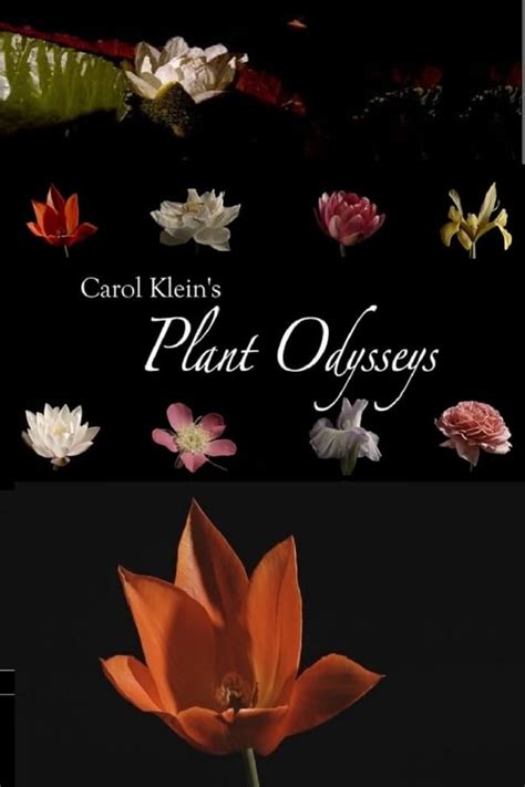 carol klein's plant odysseys